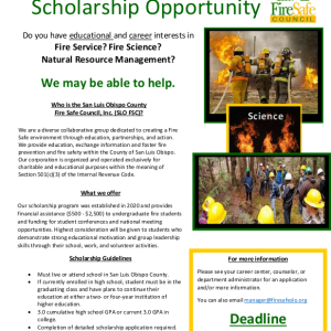 ScholarshipFlyer