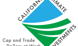 CCI_logo