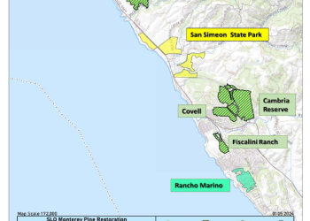 Screenshot-2024-05-07-205913