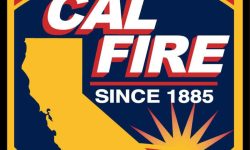 calfirelogo(jpeg)